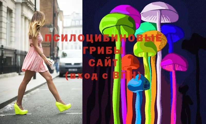 ссылка на мегу маркетплейс  Менделеевск  Галлюциногенные грибы Psilocybine cubensis 